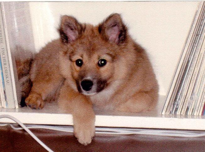 Reppulin War-Endor, kuva Antti Karhunm�ki